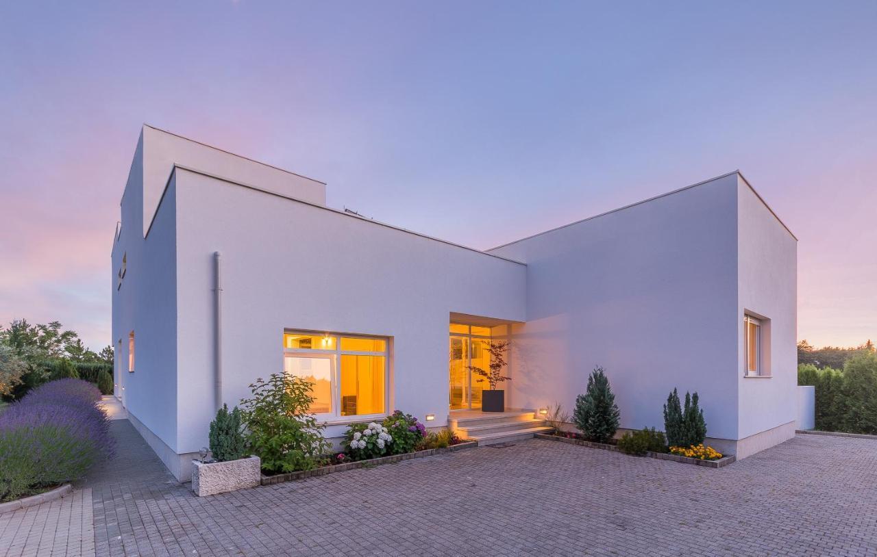 Villa Kate Istria Zminj ภายนอก รูปภาพ
