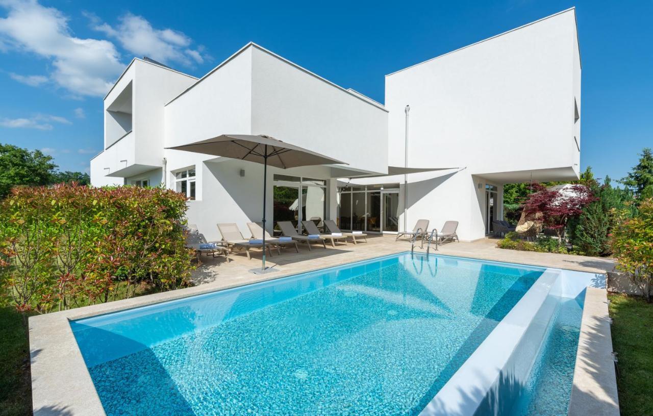 Villa Kate Istria Zminj ภายนอก รูปภาพ