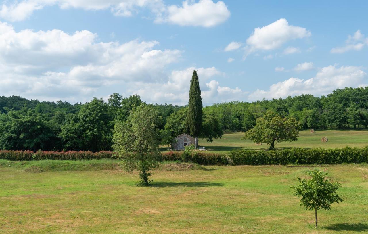 Villa Kate Istria Zminj ภายนอก รูปภาพ