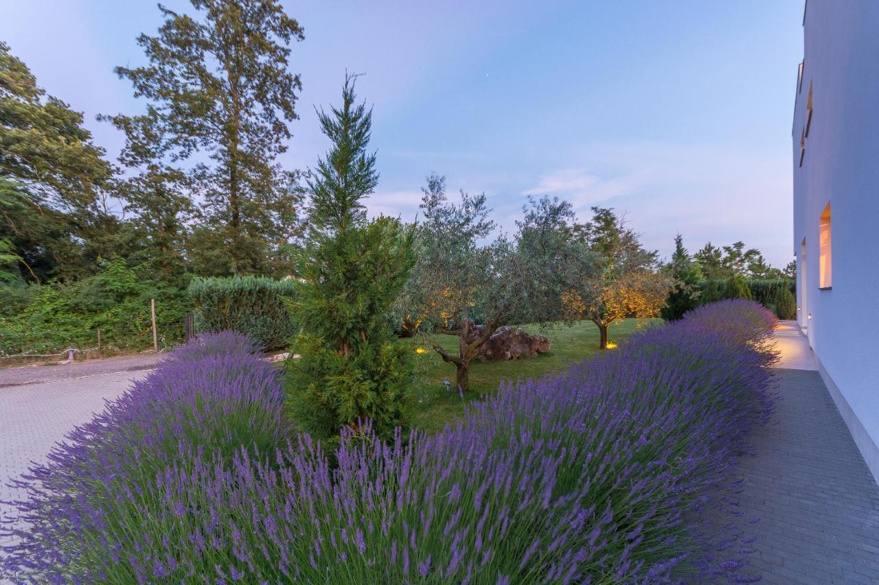 Villa Kate Istria Zminj ภายนอก รูปภาพ